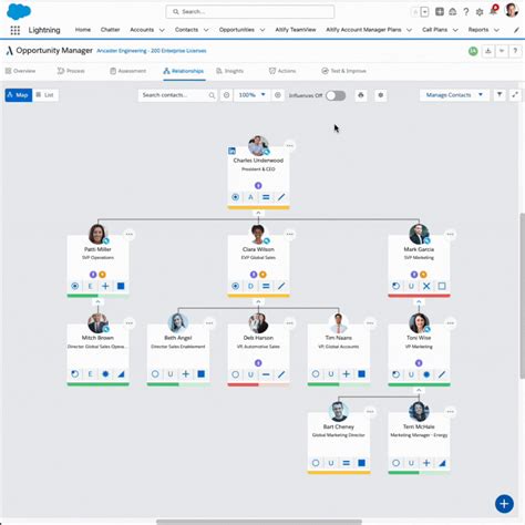 Relationship Mapping Software Salesforce Native
