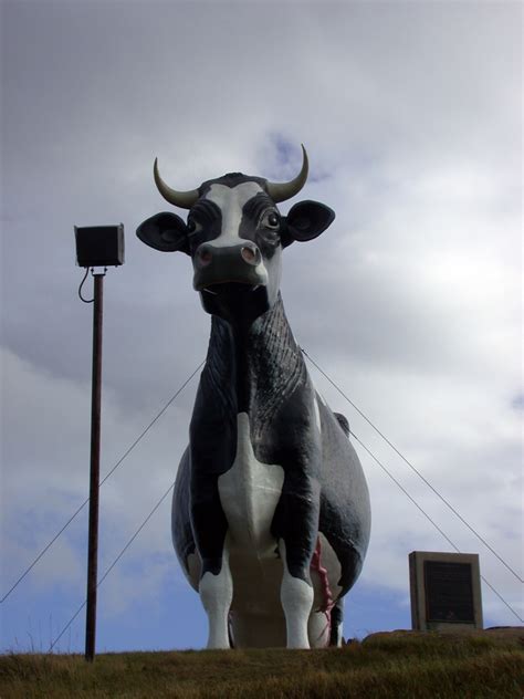 Spotted On The Roadside Salem Sue Worlds Largest Holstein Cow Mellzah
