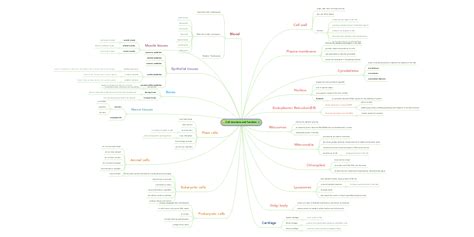 Cell Structure And Function Mindmeister Mind Map