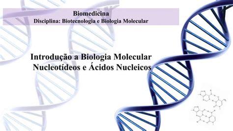 Aula ácidos Nucléicos Ppt