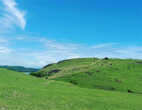 Ingin melihat kumpulan gambar lucu atau foto lucu yang bikin kamu ngakak? Habitat Tumbuhan dan Hewan - Tinta Pendidikan Indonesia