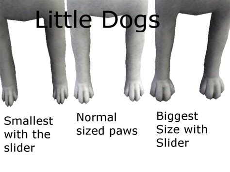 Paw Size Slider For Big And Small Dogs By Areeness Слайдеры и моды