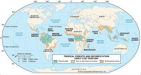 Amazon Rainforest Plants Animals Climate And Deforestation Britannica