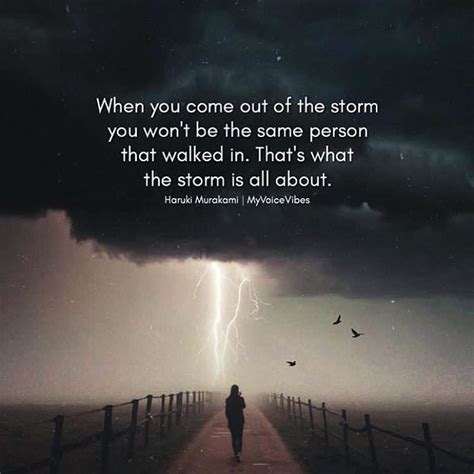 Weathering The Storm Quotes All Are Here