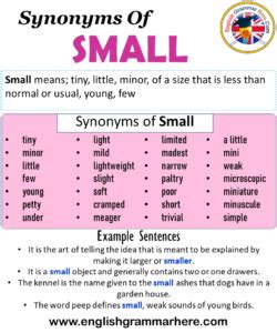 Synonyms Of Small, Small Synonyms Words List, Meaning and Example ...