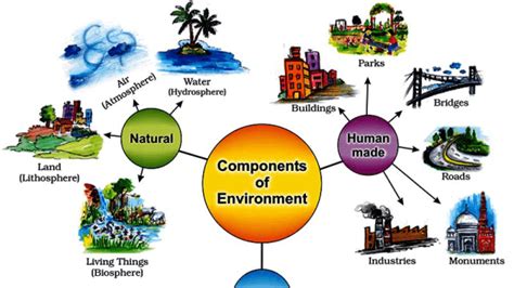 Ecology Definition Javatpoint