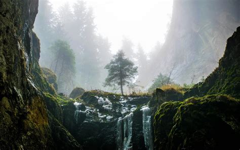 Cascades In Forest Wallpapers Wallpaper Cave