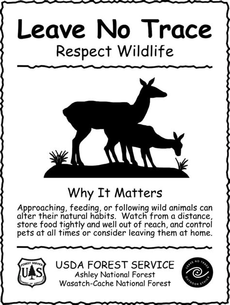Download Poster On Wildlife Preservation And Protection Printable