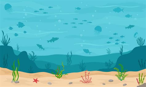 Aquatic Ecosystem Illustrations Royalty Free Vector Graphics And Clip