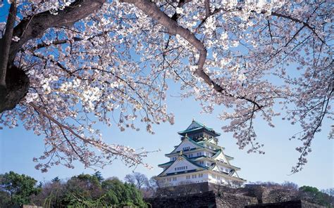Sakura Season When And Where To See Japans Cherry Blossoms In 2018