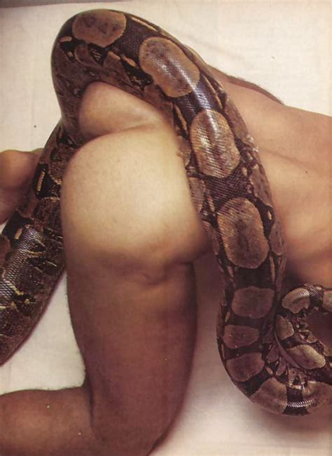 Naked Man And Snake Xxx Porn