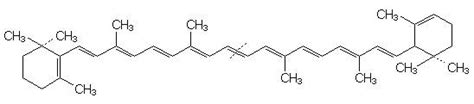 Chlorophyll b is a form of chlorophyll. Chromatographie Chemie LK