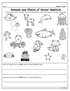 Free, printable kindergarten 2nd grade worksheets for home or classroom use. NGSS 2nd Grade-LS4-1: Habitats: Diversity of Life | TpT