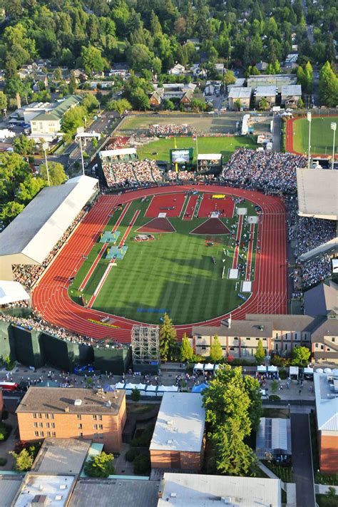 Maybe you would like to learn more about one of these? Hayward Field Renovation Update - Cameron McCarthy