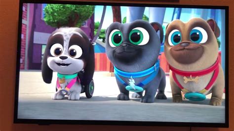 Puppy Dog Pals Bingo Rolly And Lollie Meet Buster Leo Roxy And Nougat 💓