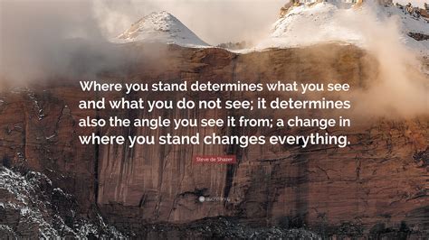 Steve De Shazer Quote “where You Stand Determines What You See And