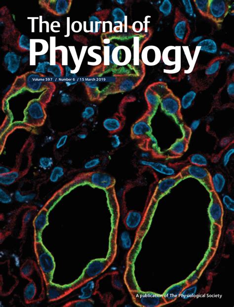 Issue Information 2019 The Journal Of Physiology Wiley Online Library