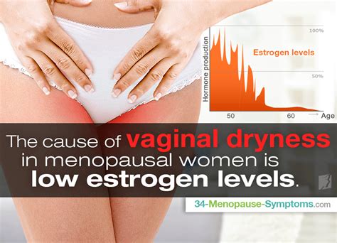 What Is The Relationship Between Estrogen And Vaginal Dryness