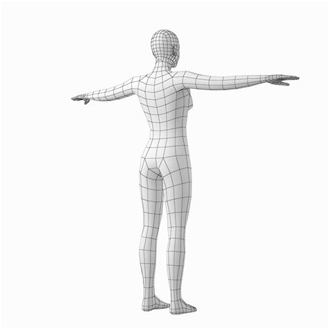 Find over 100+ of the best free woman body images. Female Base Mesh Natural Proportions in T-Pose 3D Model ...