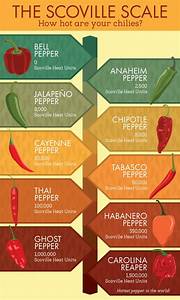 Found Pepper Chart Infographic X Post R Cookingforbeginners