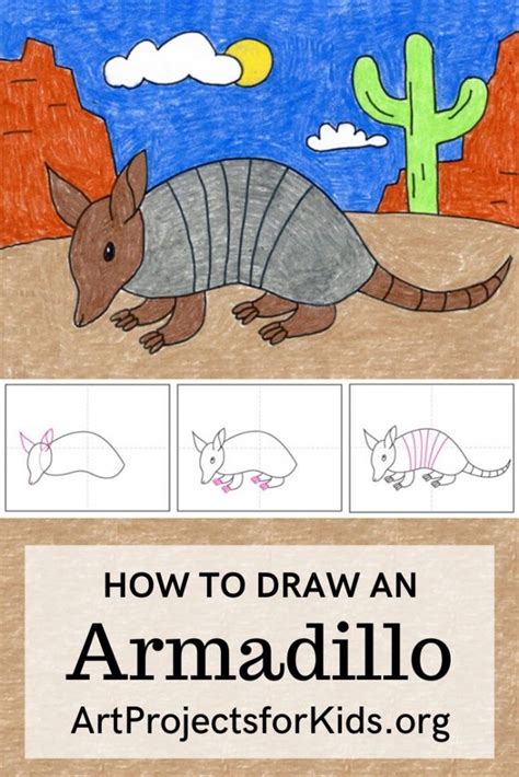 How To Draw An Armadillo · Art Projects For Kids