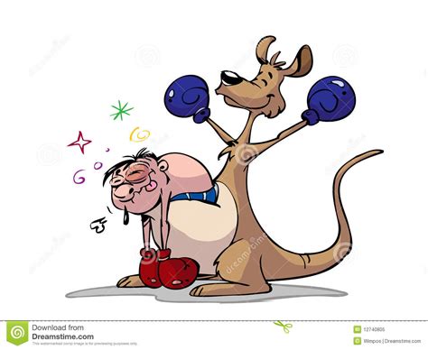 Boxer Kangaroo Royalty Free Stock Photo Image 12740805