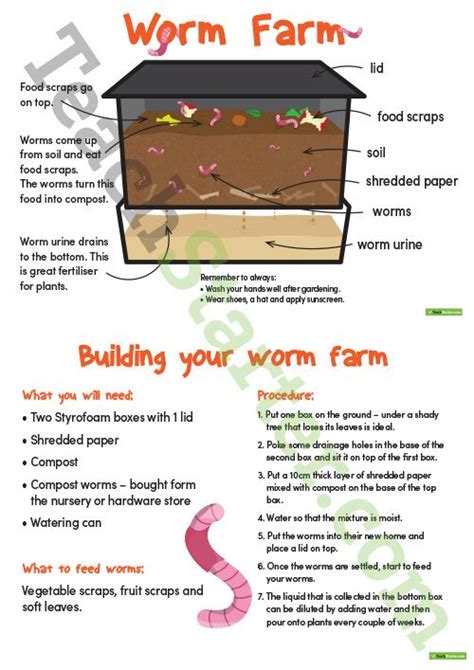 Worm Farm Poster Pack Teaching Resource Teach Starter Worm Farm Diy