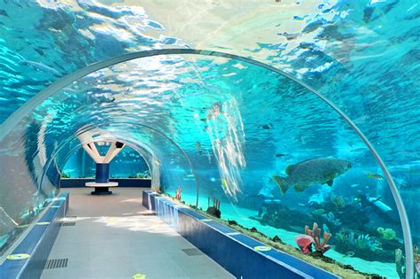 【セブ島】セブ初の水族館！cebu ocean parkへ行ってみた。｜ フィリピン現地情報 ｜セブ留学アカデミー