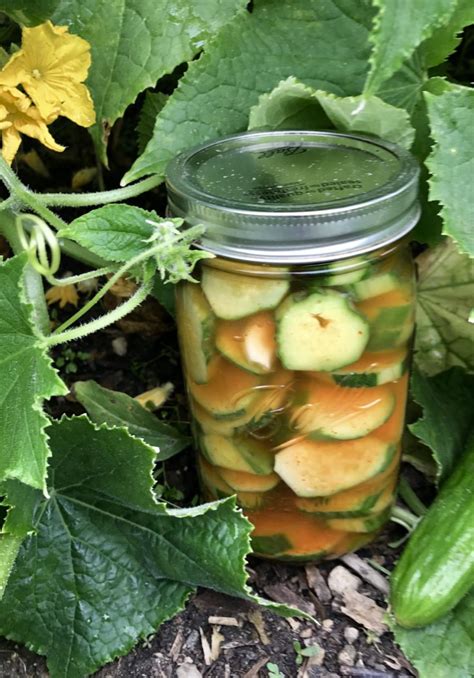Sriracha Pickles Pickles Cucumbers Spicy Canning Gardening
