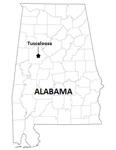 Six People Killed In Small Plane Crash Near Tuscaloosa Alabama Nbc News