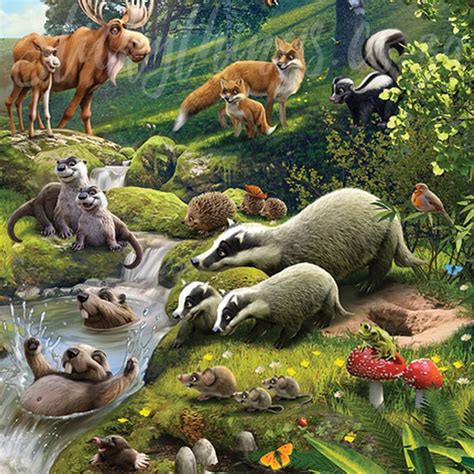 Animals Of The Forest Mural Cute Forest Animals Woodland