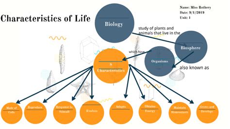 Biology Unit 1 Concept Map Characteristics Of Life By Megan Rothery