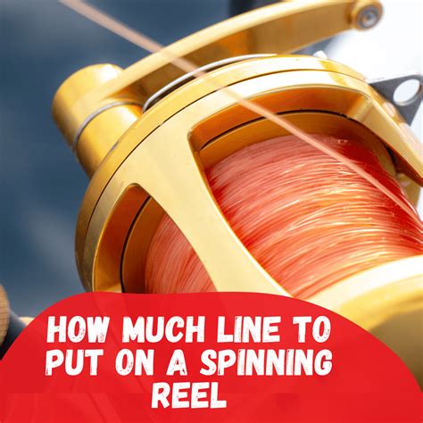 How Much Line To Put On A Spinning Reel Tetra Hook