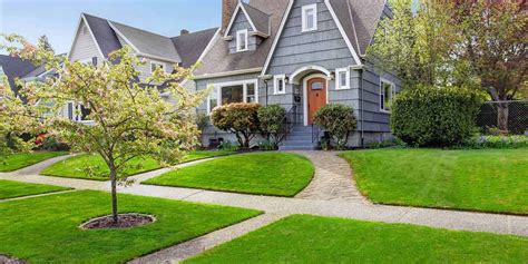 Our main focus is on lot sizes ranging from less than a 1/4 acre and. The Full Yard Cleanup and Maintenance Guide | Dumpsters.com