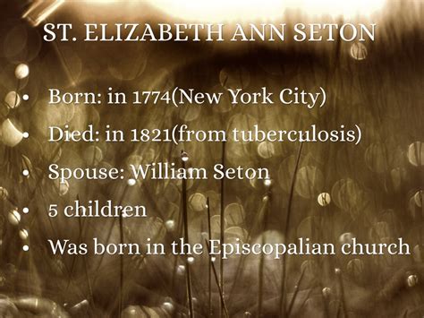 St Elizabeth Ann Seton By Dezvoe21