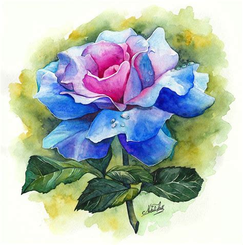 Blue Rose By Natalihall Pink Flower Painting Watercolor Flowers