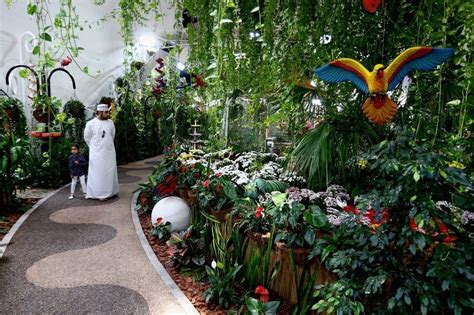 Konsep Populer Butterfly Garden Dubai Prix Yang Terbaru