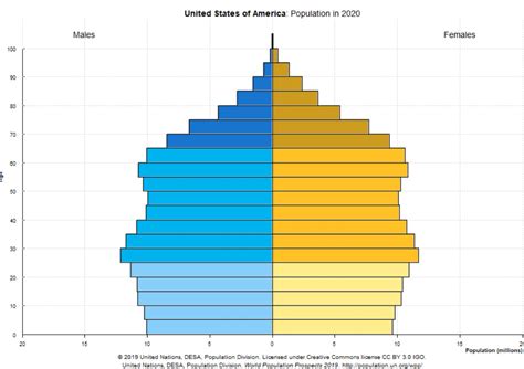 USA Population Pyramid Ygraph