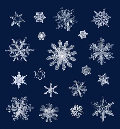 Real Ice Snow Crystals Macro Compilation Stock Image Everypixel