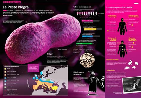 El Impacto De La Peste Negra Invdes