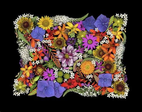 Floral Collage 03 Photograph By Sandra R Schulze Photography Pixels