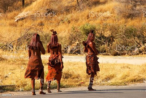 Himba Woman At Outjo Town Namibia Stock Photo Download Image Now