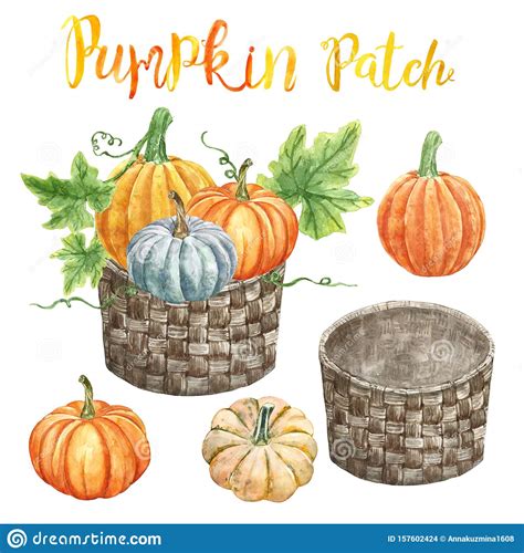 Watercolor Pumpkin Clipart Thanksgiving Clipart Fall Watercolor Clipart