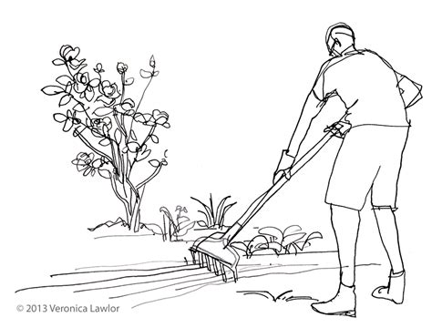 Gardening Drawing At Getdrawings Free Download