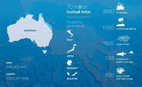 Great Barrier Reef Facts Travel Nq
