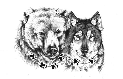 Bear And Wolf Drawings