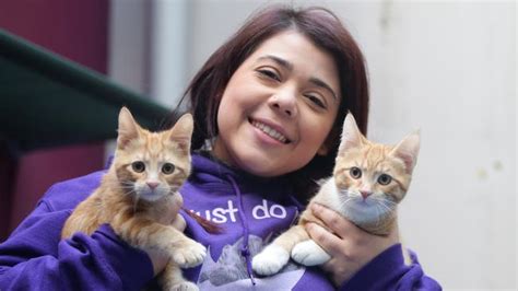 Cat Protection Society To Subsidise Vaccinations After Outbreaks Of