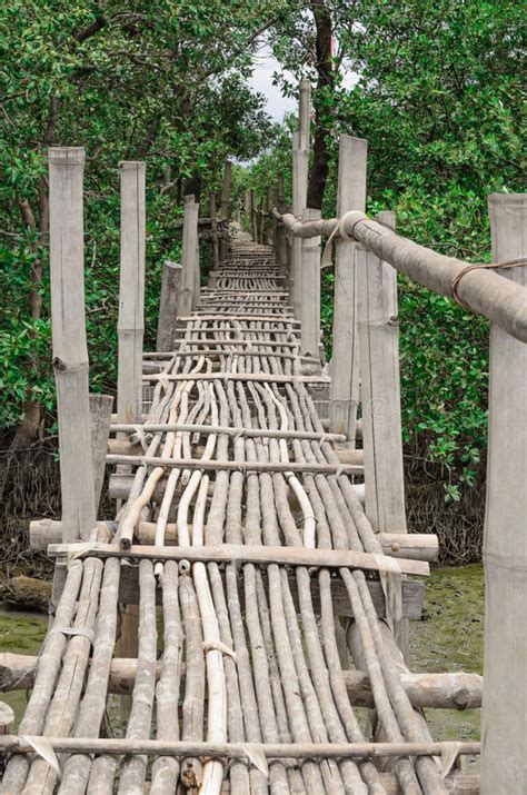 Bamboo Bridge Stock Photo Image Of Landscape Gardening 78811960
