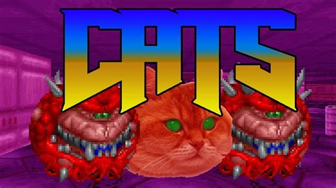 Funny Cats Dubbed With Doom Sfx Youtube