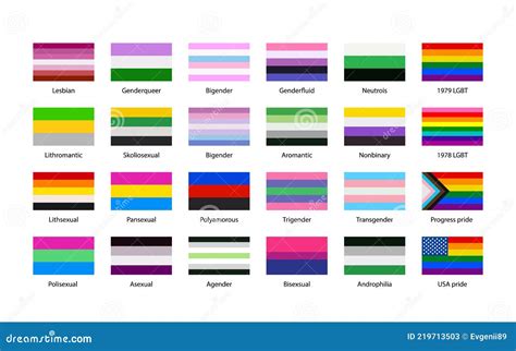 largest set of sexual identity pride lgbt flags with texture isolated on white stock vector